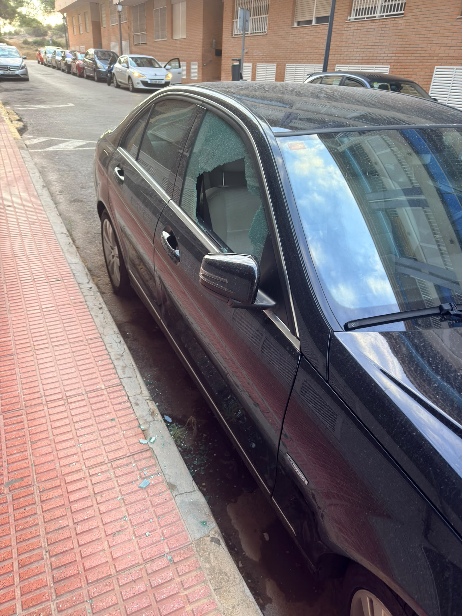 Dañan 37 vehículos en Guardamar y uno de los presuntos implicados logra huir de la Policía Local (foto 3)