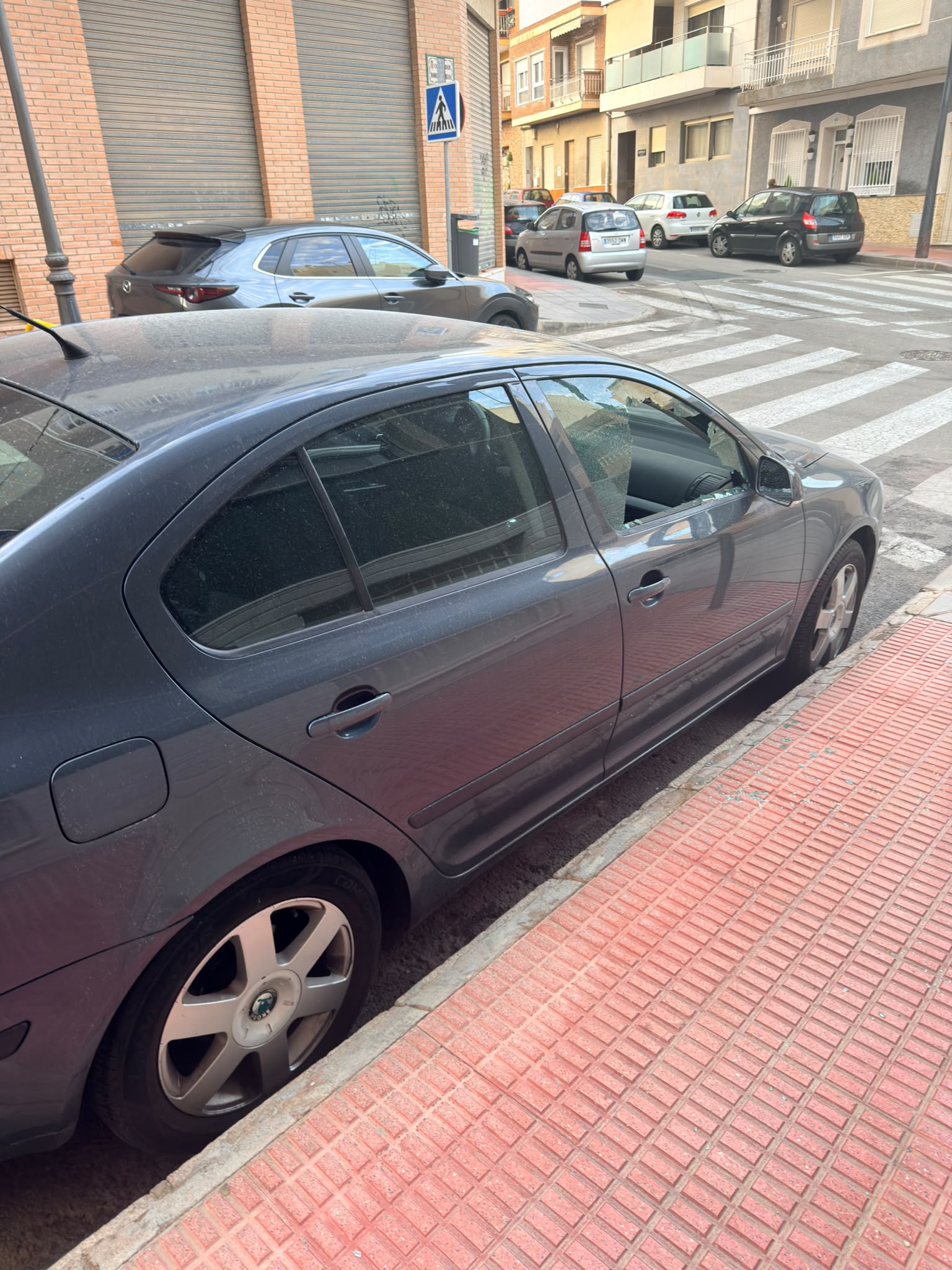 Dañan 37 vehículos en Guardamar y uno de los presuntos implicados logra huir de la Policía Local (foto 2)