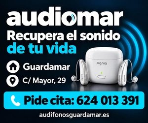Publicidad: AUDIOMAR · Lateral 300×250